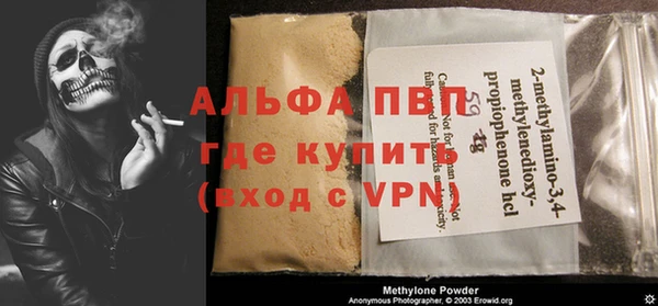 индика Алзамай