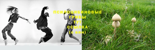 индика Алзамай