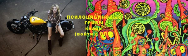 индика Алзамай
