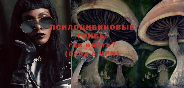 индика Алзамай