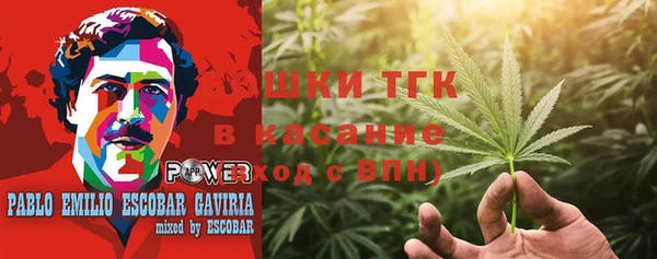 индика Алзамай