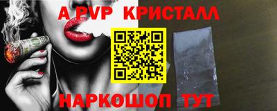 шишки Гай